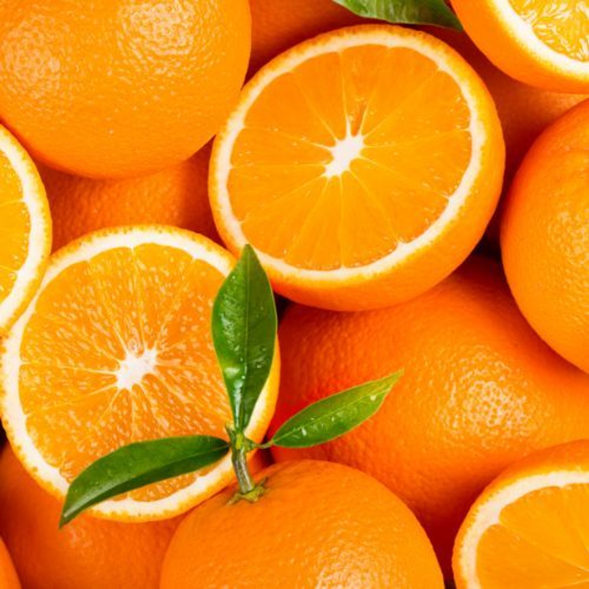 تصویر 3 از پرتقال تامسون تازه و آبدار با طعم شیرین