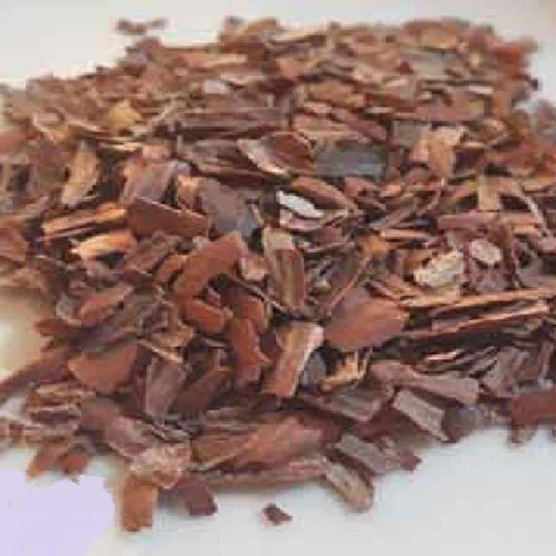 خرید میوه بلوط