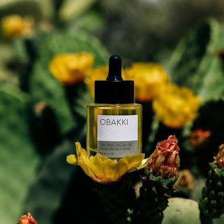 قیمت روغن هسته میوه کاکتوس امروز + استعلام نرخ واقعی محصول تولید ایران