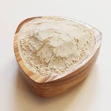 قیمت پودر سیر