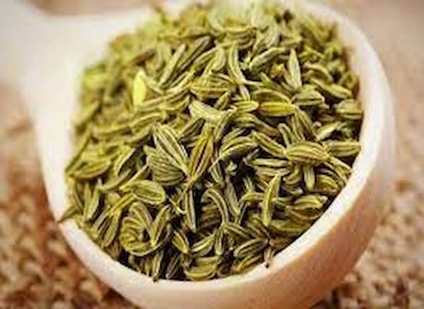 زیره کوهی سبز آماده عرضه در حجم بالا