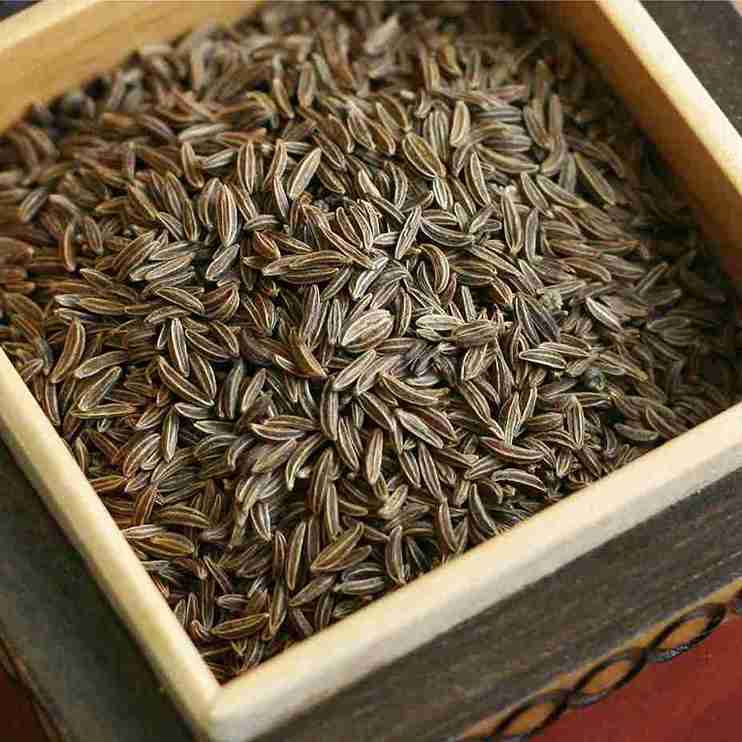 زیره سیاه فله با عطر قوی و تازگی بالا