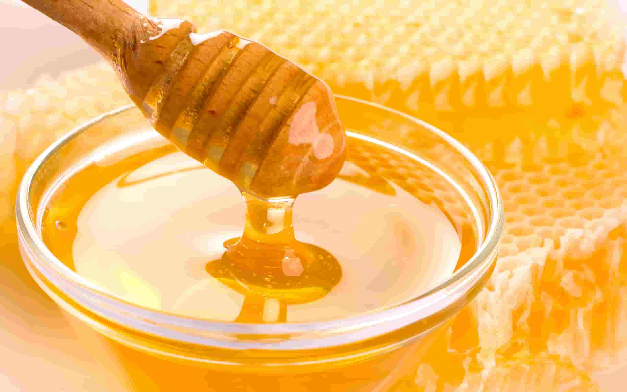 فروش عسل سدر