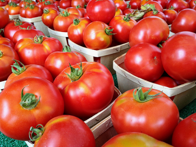 گوجه فرنگی تازه و درجه یک گلخانه‌ ای با کیفیت صادراتی