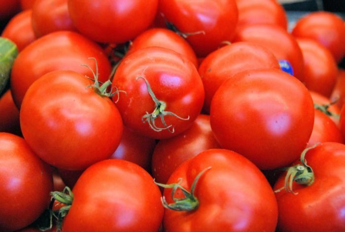 تصویر 3 از گوجه فرنگی صادرات‌ محور با قابلیت نگهداری طولانی‌ تر