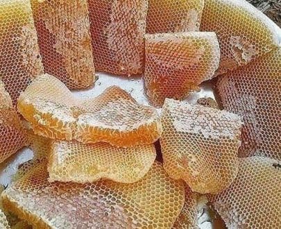 قیمت عسل شمال
