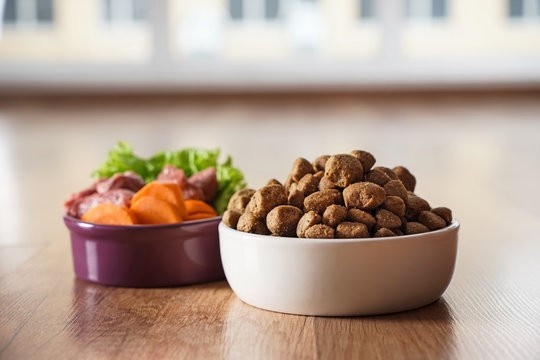 تصویر 2 از غذای سگ حاوی پروتئین بالا برای تقویت عضلات و تامین انرژی روزانه