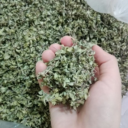 فروش کاکوتی