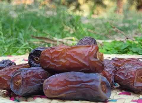 تصویر 2 از خرما پیارم مرغوب سوغات شیرین جنوب ایران