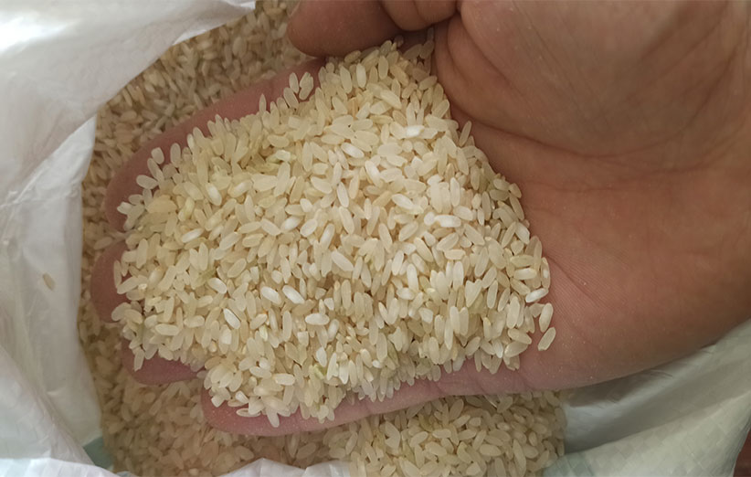 تصویر 1 از برنج کامفیروزی درجه یک با پخت عالی
