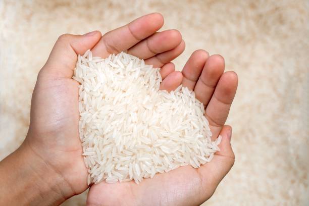 تصویر 2 از برنج کامفیروزی خالص با طعم طبیعی