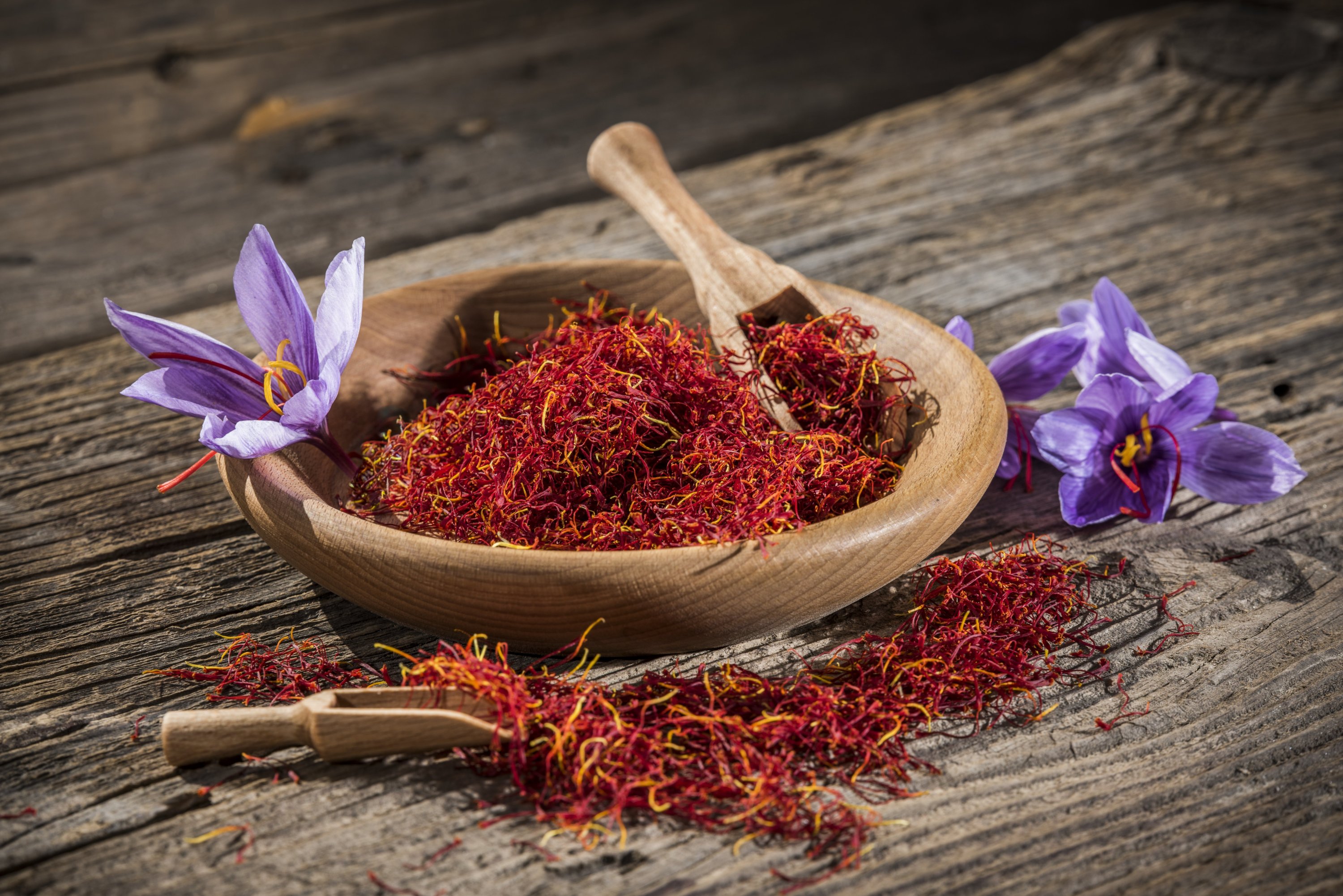 قیمت زعفران قائنات مشهد صادراتی + خرید باور نکردنی