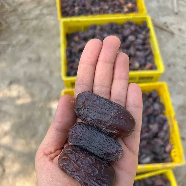 تصویر 3 از خرما پیارم خوزستان با عطر دلپذیر و طبیعی