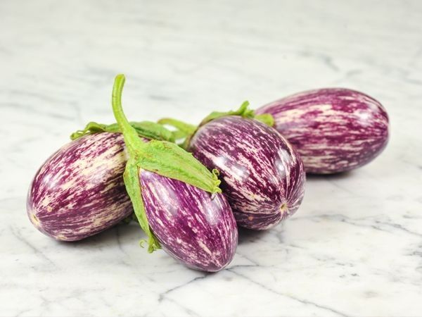 بادمجان گلخانه ای با کیفیت و خوش طعم ویژه مصرف روزانه