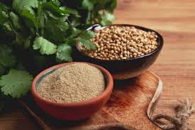 تصویر 3 از تخم گشنیز اعلا مناسب استفاده در ترکیبات دارویی سنتی