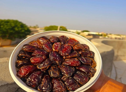 خرما کبکاب ممتاز با انرژی طبیعی پایدار