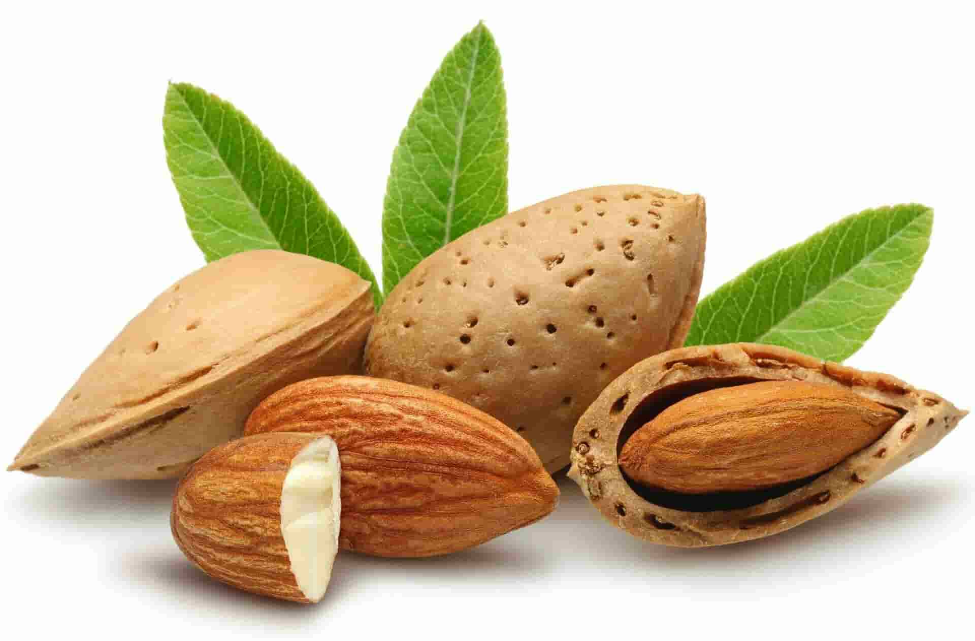 تصویر 2 از بادام درختی فله انتخاب آزاد مصرفی