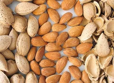 تصویر 3 از بادام درختی پوست کاغذی دانه لطیف ویژه