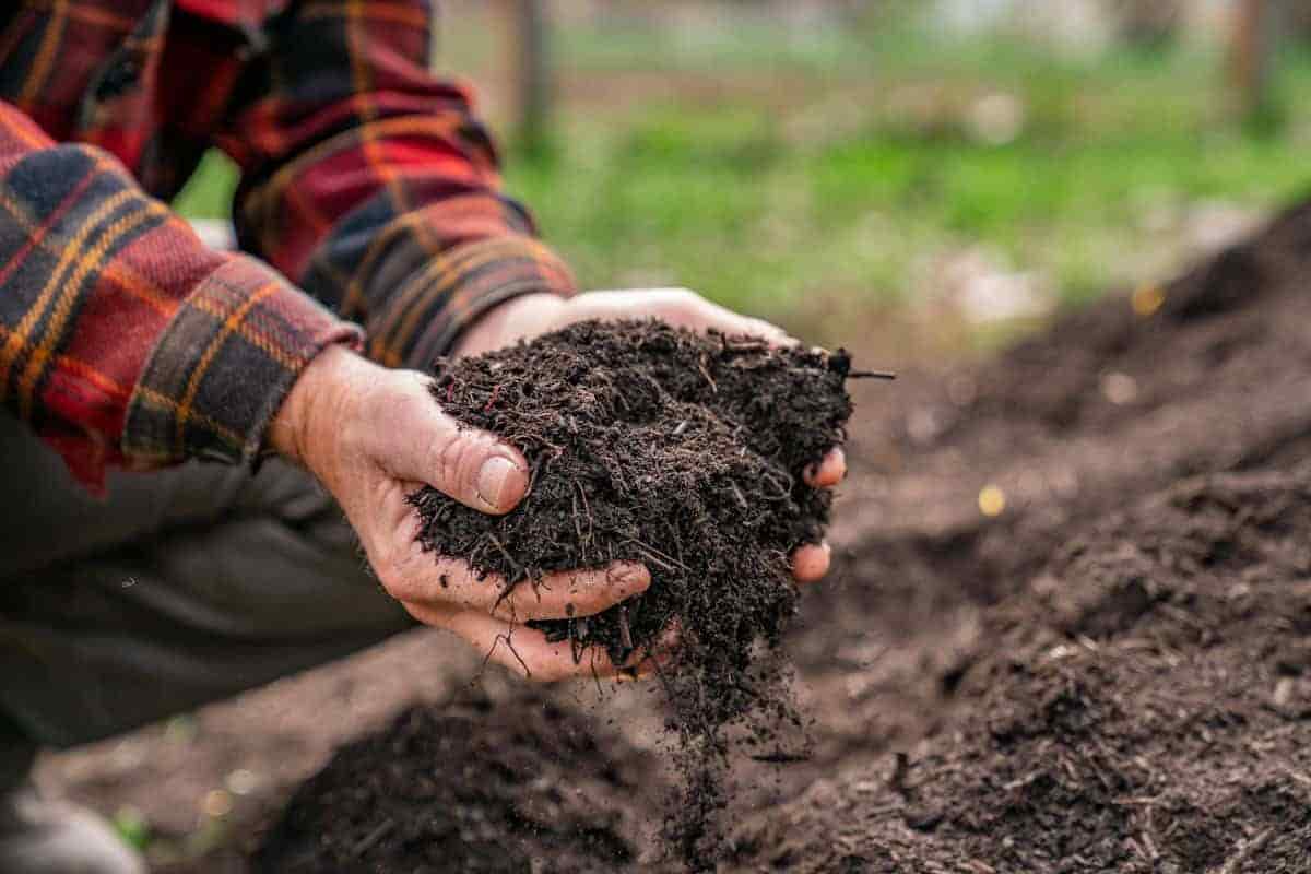 گوگرد گرانول صادراتی آفت‌ کش ارگانیک طبیعی