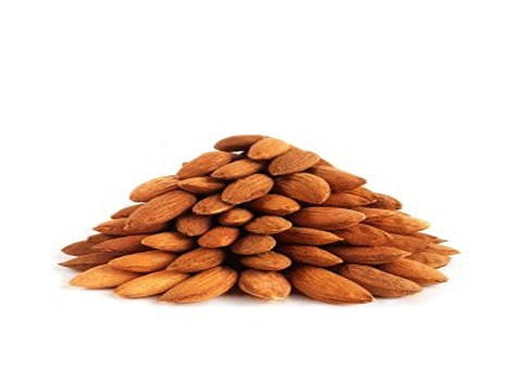تصویر 4 از بادام درختی سنجابک مغز تازه و خوشمزه