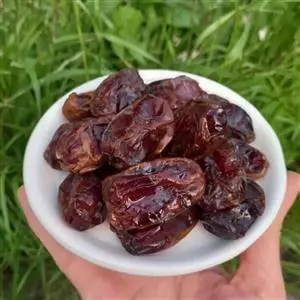 خرما کبکاب صالحی انتخابی عالی برای تهیه شیره