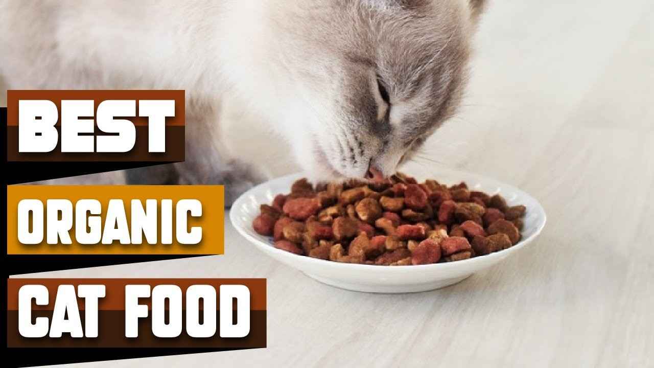 تصویر 1 از غذا گربه مدیکال حاوی مواد مغذی برای تقویت استخوان ها