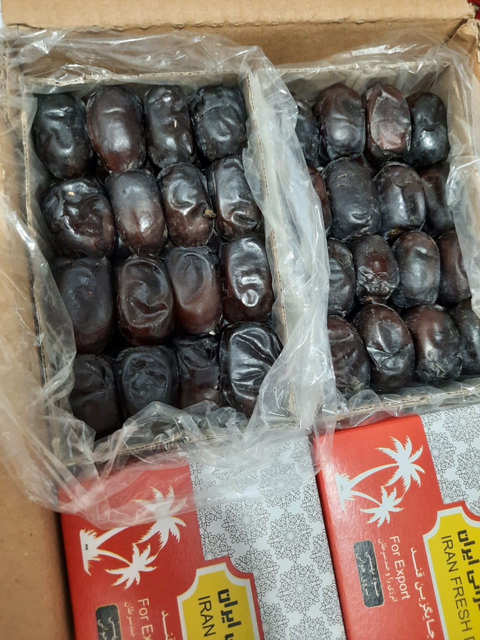 تفاوت خرمای بم درجه یک و درجه دو