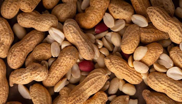 تصویر 2 از بادام زمینی تازه برداشت شده با طعم یکنواخت و کیفیت عالی