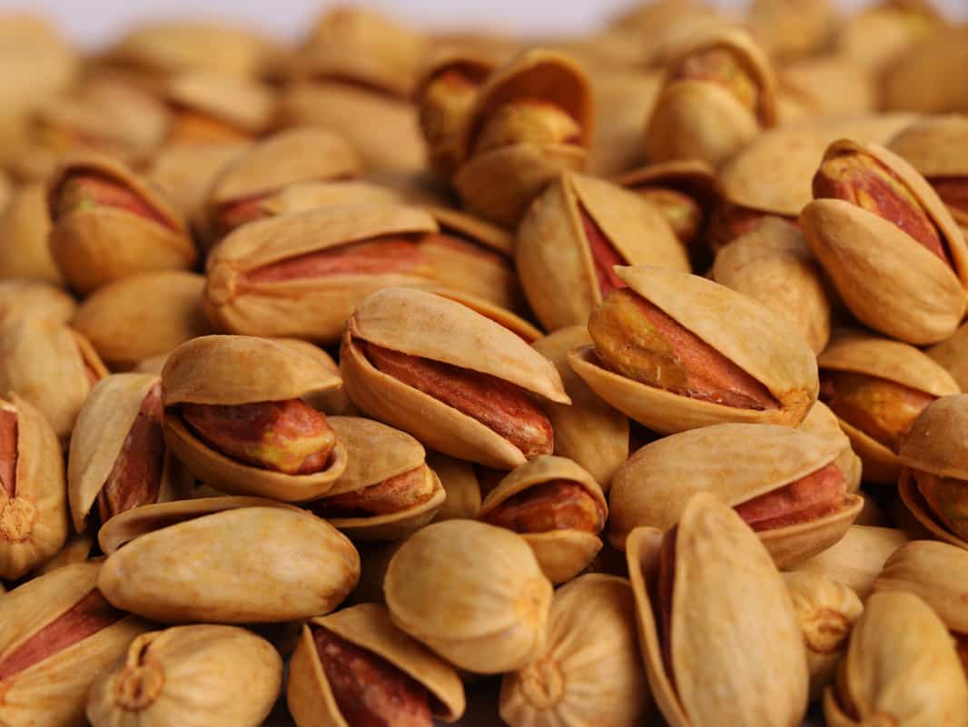 پسته اکبری خندان طبیعی با سایز درشت و تازه