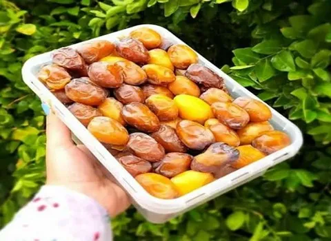 تصویر 2 از خرما زاهدی خوزستان ویژه مناطق گرمسیری
