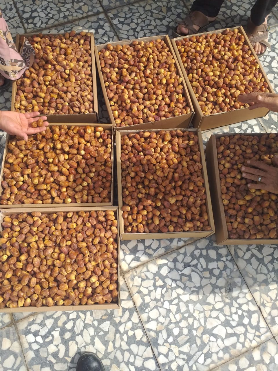 تصویر 2 از خرما زاهدی درجه یک خشک بهترین کیفیت داخلی صادراتی قیمت مناسب