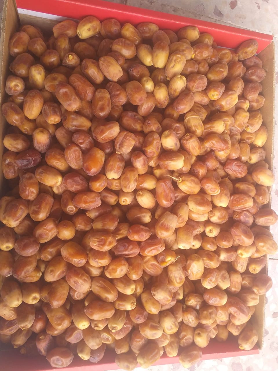 تصویر 1 از خرما زاهدی درجه یک خشک بهترین کیفیت داخلی صادراتی قیمت مناسب