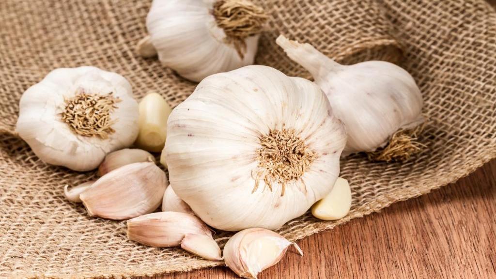 پیاز قرمز