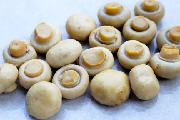 خرید قارچ دکمه ای