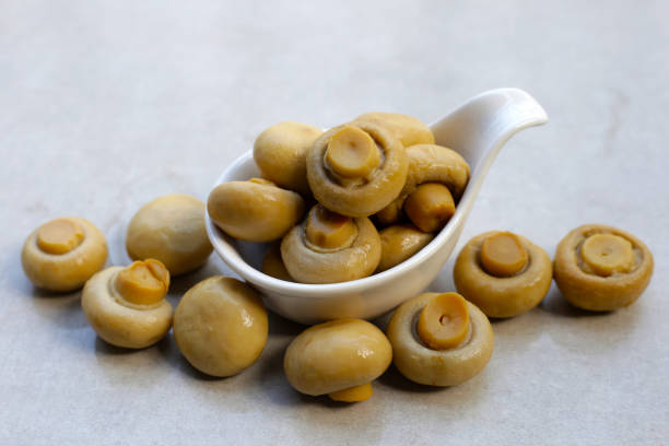 فروش قارچ دکمه ای