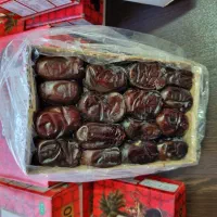 فروش عمده خرما مضافتی صادارت جیرفت