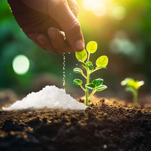 فروش خاک ژله‌ای بسته ۱ کیلویی مناسب استفاده سبک