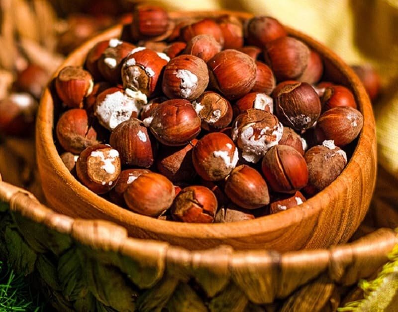 خرید فندق صادراتی