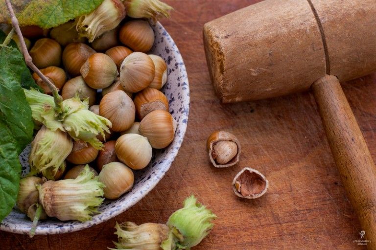 تصویر 4 از فندق درشت خوشمزه در اندازه های مختلف