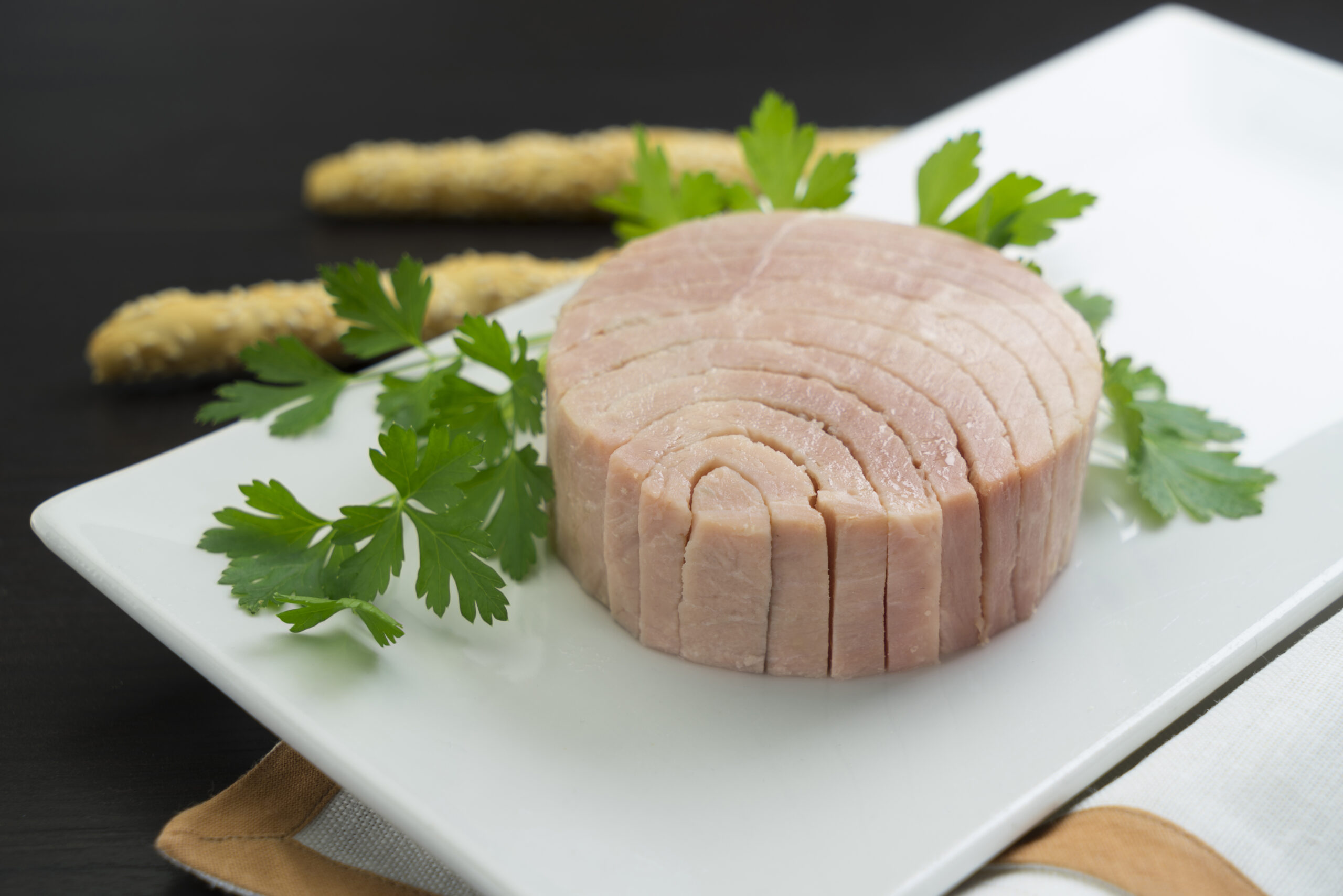 تصویر 4 از تن ماهی رژیمی با کیفیت عالی + طعم بی‌ نظیر