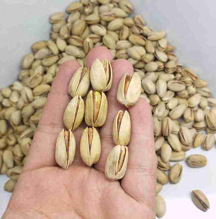 تصویر 2 از پسته اکبری درجه یک زعفرانی با طعم متفاوت و دلپذیر