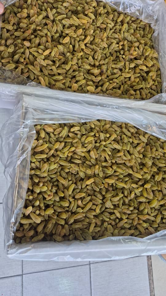 تصویر 2 از فروش بی نظیر کشمش سبز قلمی کاشمر صادراتی