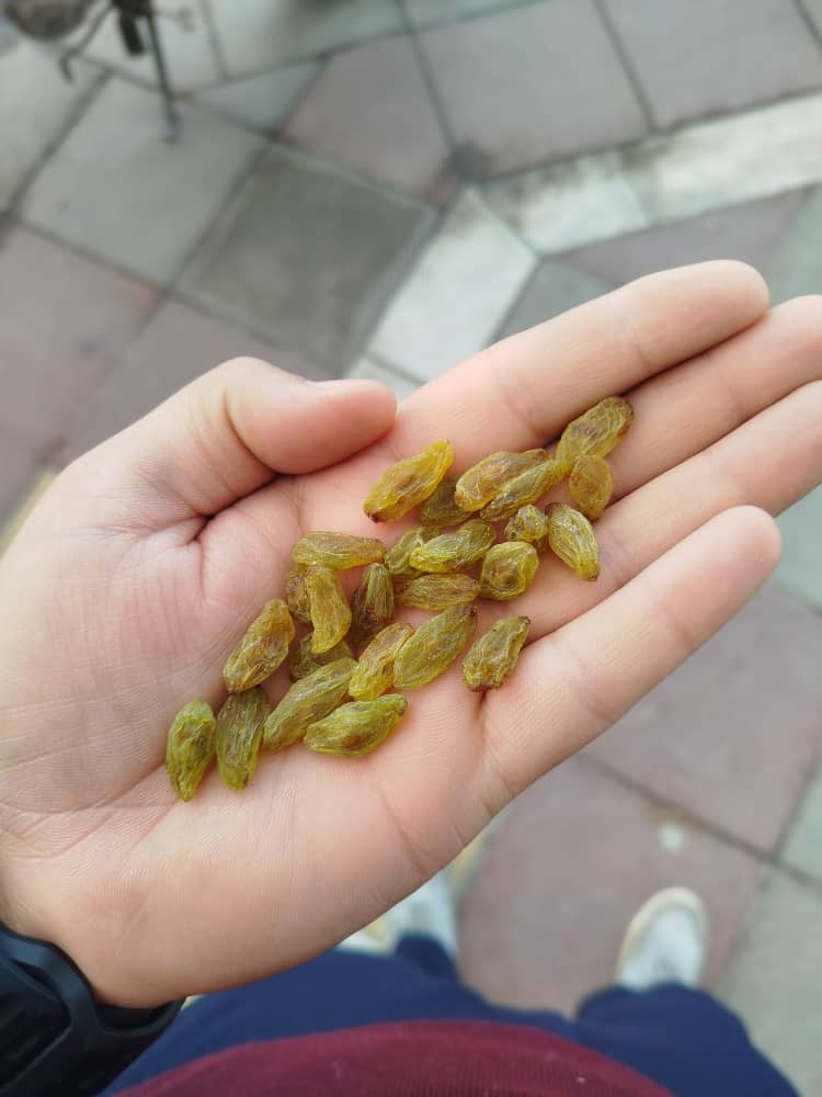 تصویر 1 از فروش عمده کشمش سبز قلمی کاشمر صادراتی