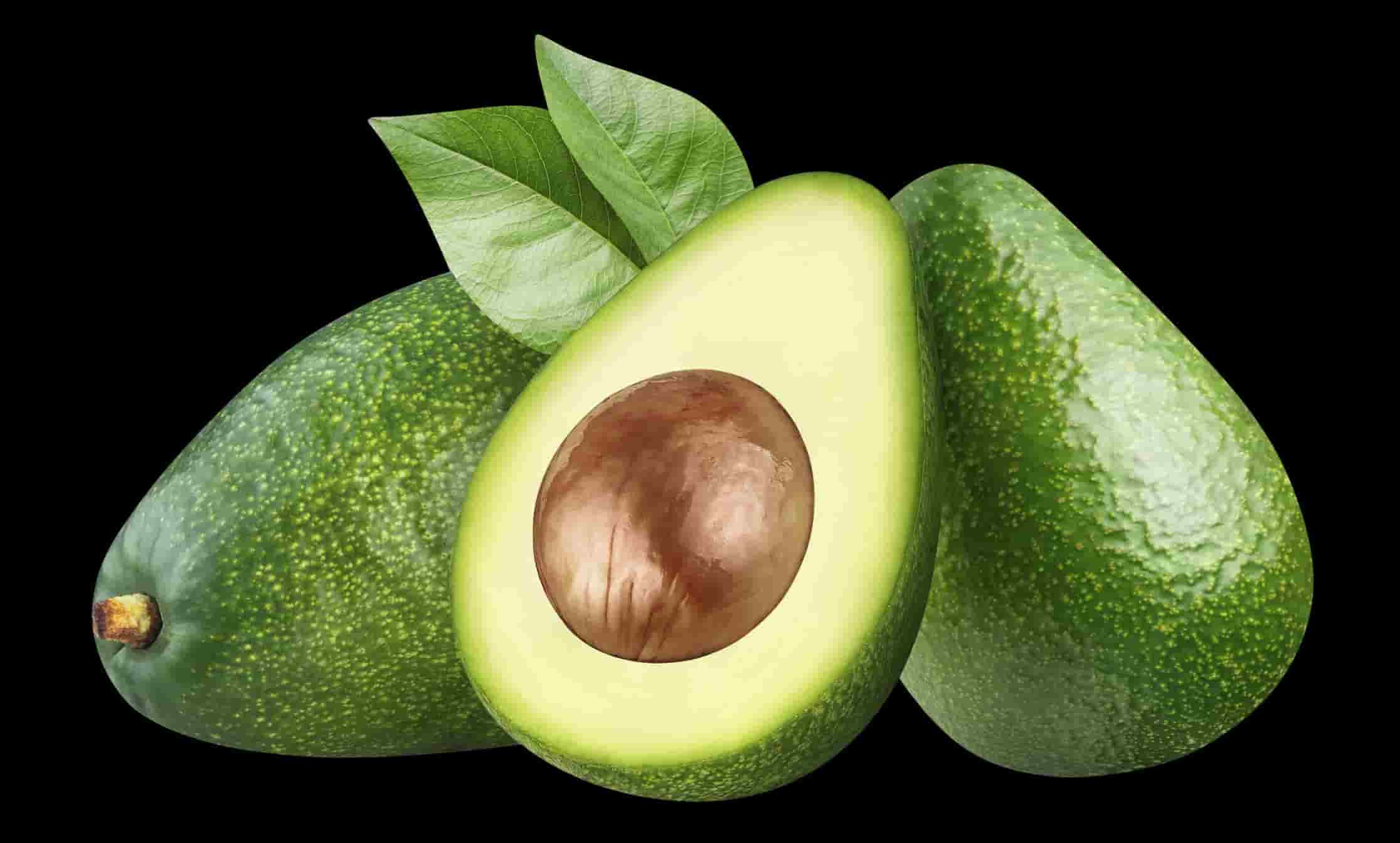 میوه صادراتی آووکادو منبع عالی ویتامین