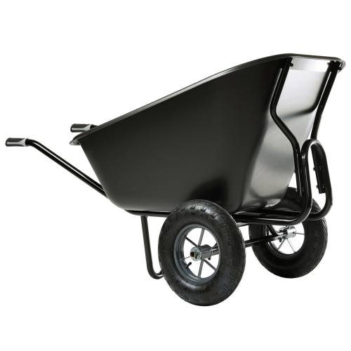 فرغون دیجیتال