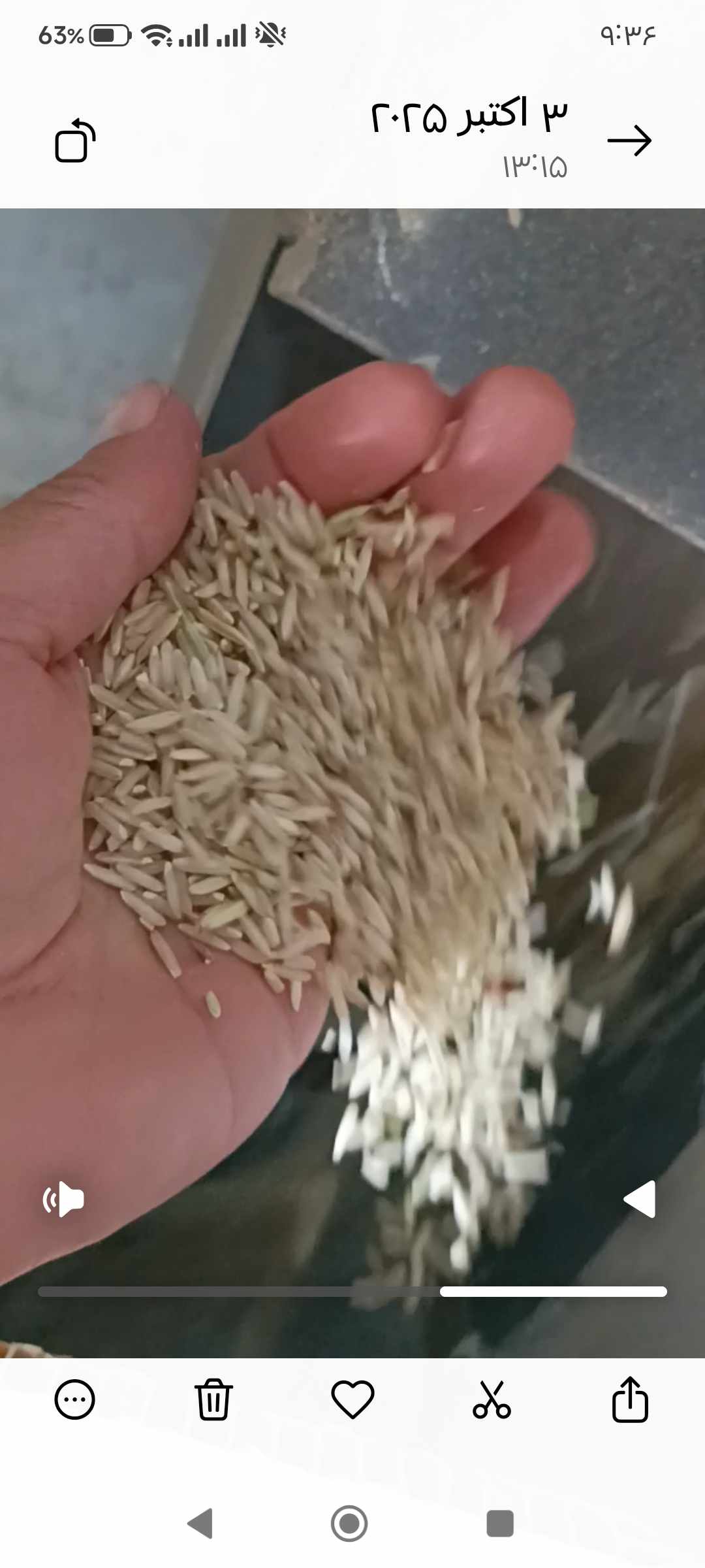تصویر 1 از ارسال مستقیم برنج چمپای مرودشت