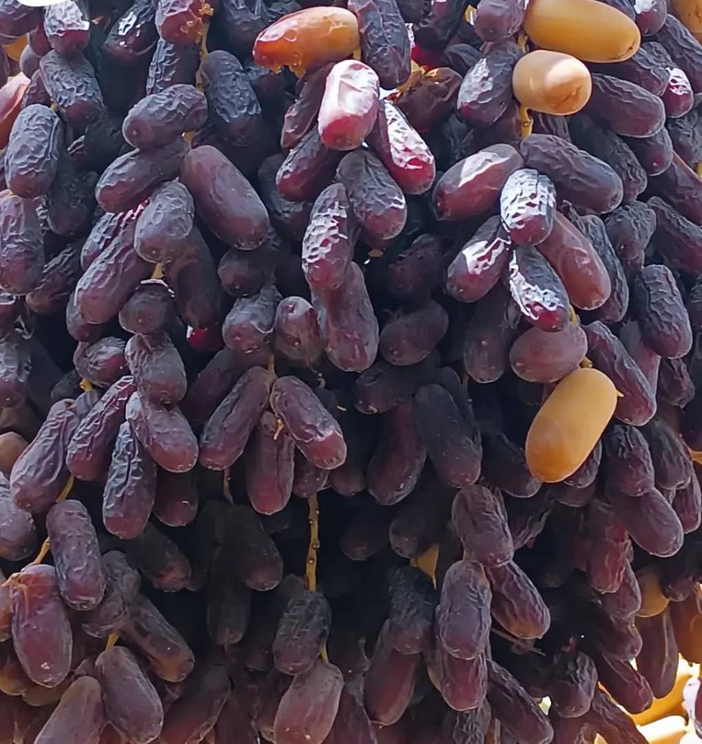 خرما پیارم