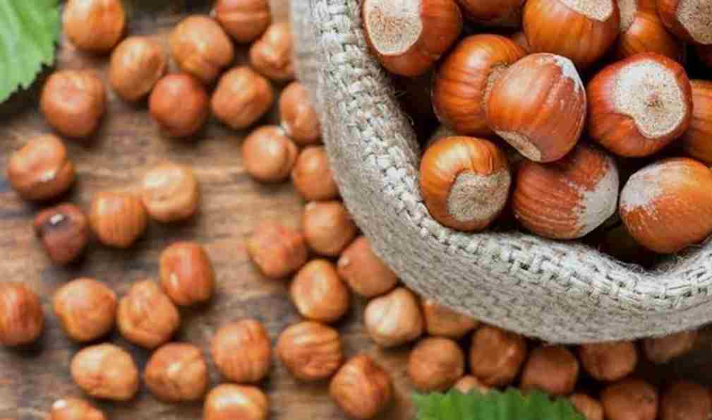 فندق شور بوکیت درجه یک با طعم دلپذیر