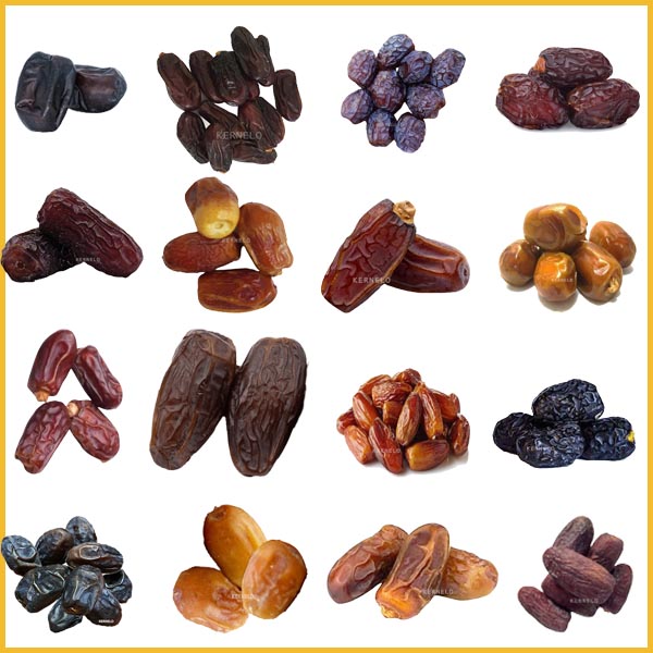 خرید خرما شیرین