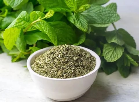 نعنا خشک تک ساله با طعم اصلی و ماندگار